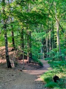 wandelarrangement-hotel-op-de-boud